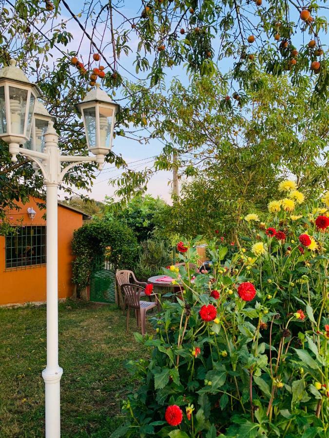 Vivienda Vacacional El Majo Siero Zewnętrze zdjęcie